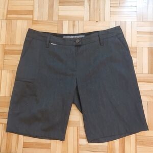 Icebreaker merino wool blend shorts size 29